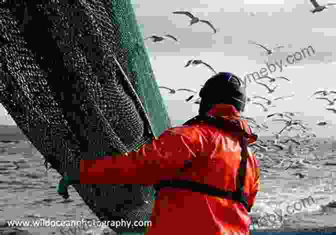 A Deep Sea Trawlerman Hauling In A Net Filled With A Variety Of Fish. Rough Seas: The Life Of A Deep Sea Trawlerman