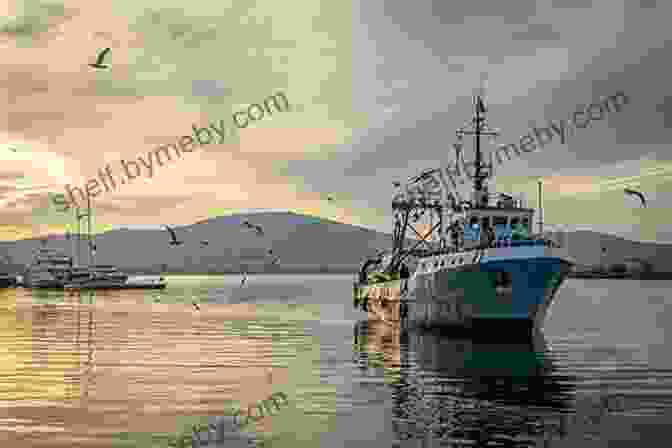 A Deep Sea Trawlerman Standing On The Deck Of A Fishing Vessel At Sunset, With A Breathtaking View Of The Ocean. Rough Seas: The Life Of A Deep Sea Trawlerman