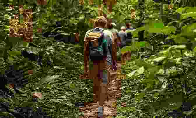 A Group Of Tourists Hiking Through A Lush Rainforest In Latin America Festivals And Heritage In Latin America: Interdisciplinary Dialogues On Culture Identity And Tourism (The Latin American Studies Series)