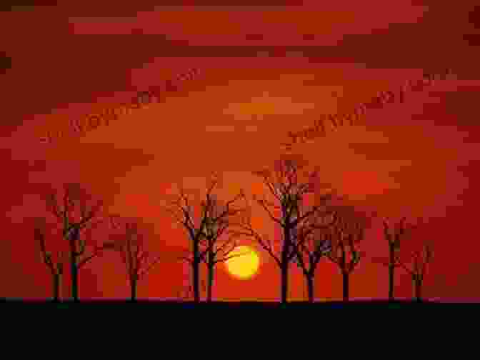 A Silhouette Of Trees Against A Fiery Red Sunset. Sunsets Of Beaver Dam Wisconsin: One Of The Most Beautiful Secrets Of The World