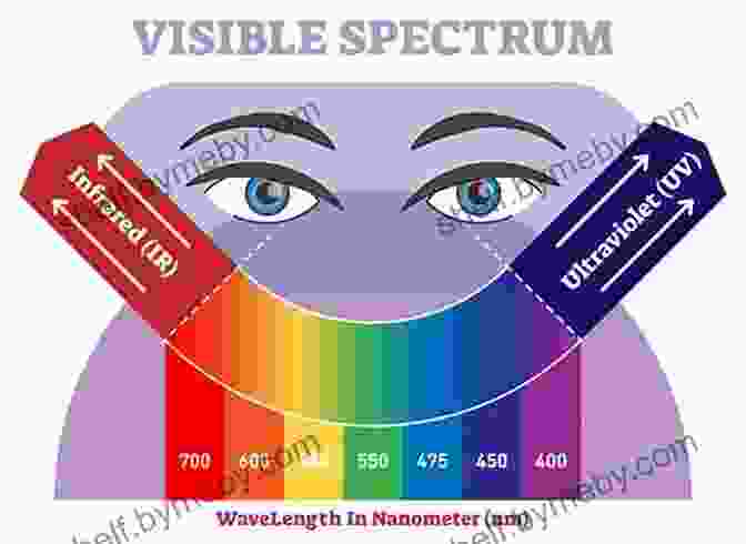 A Spectrum Of Colors Representing The Different Ways We Perceive Time. The Of Unconformities: Speculations On Lost Time