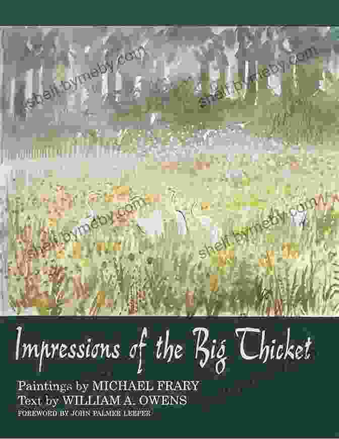 A Vibrant Painting Of The Big Thicket By The Blaffer Of Southwestern Art Impressions Of The Big Thicket (Blaffer Of Southwestern Art)