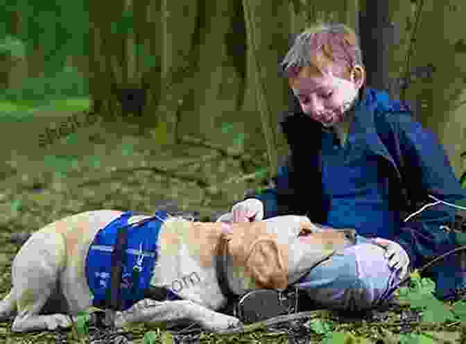 A Young Boy With Autism And His Therapy Dog A Friend Like Henry: The Remarkable True Story Of An Autistic Boy And The Dog That Unlocked His World