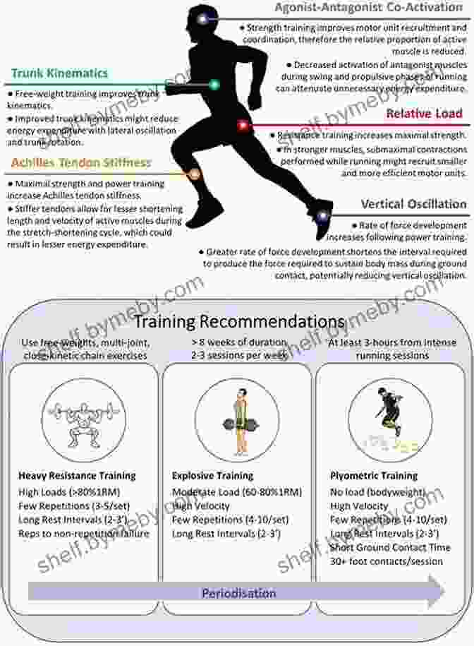 An Athlete Engaged In Intense Exercise, Showcasing The Physiological Adaptations Induced By Regular Physical Activity. Molecular Exercise Physiology: An 