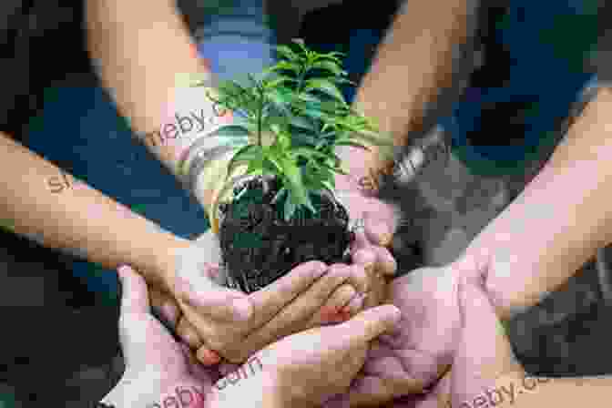 An Image Of A Group Of People Planting A Young Tree In A Forest, Symbolizing Hope And Collective Effort For Preserving The Legacy Of Ancient Trees. The Joys Of Travel: And Stories That Illuminate Them