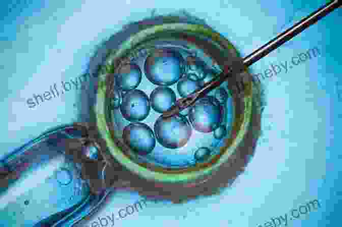 Assisted Reproductive Technologies In Male Reproductive Medicine An To Male Reproductive Medicine