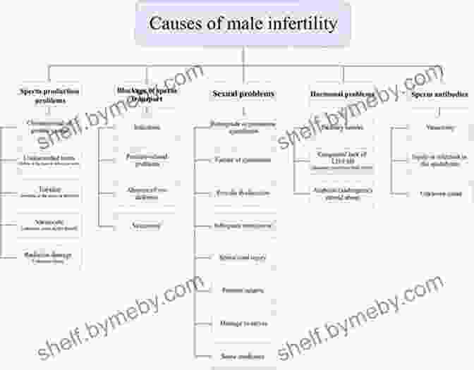 Causes Of Male Infertility An To Male Reproductive Medicine