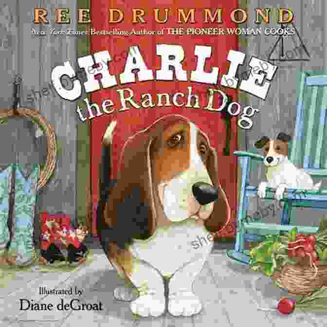 Charlie The Ranch Dog At Sunset Charlie The Ranch Dog Ree Drummond