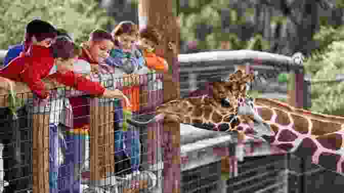 Children Looking At Animals In A Zoo Let S Fun Count The Animals : A Fun Picture Counting For 2 5 Year Olds (Activity For Kids)