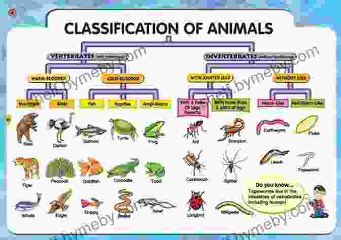 Classification Chart Of Various Organisms 5 Steps To A 5: AP Biology 2024