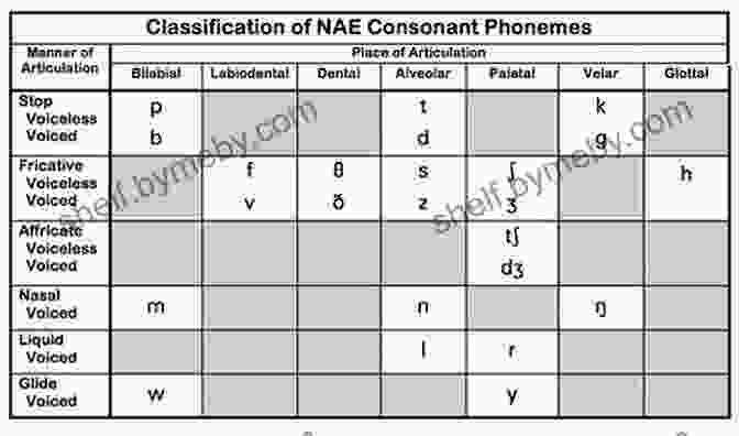 Consonant Chart Displaying The Manner And Place Of Articulation For English Consonants English Phonology: An (Cambridge Textbooks In Linguistics)