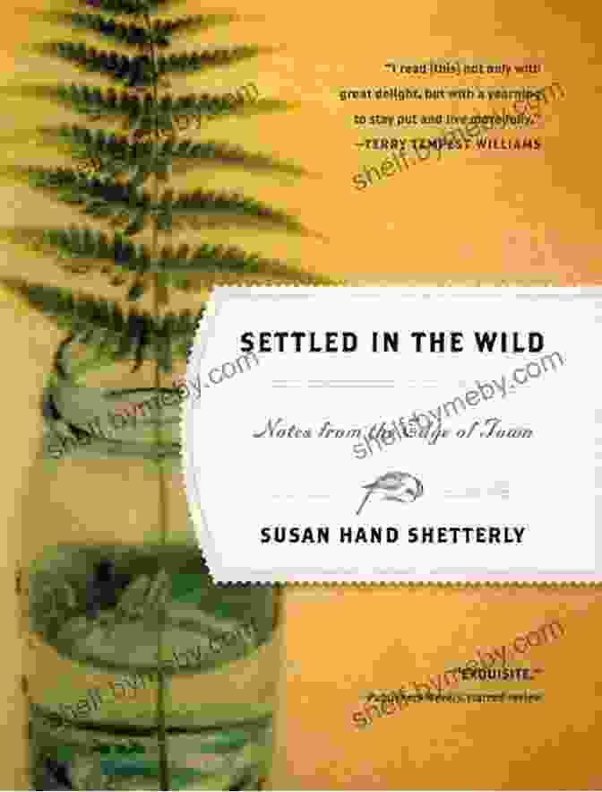 Cover Of 'Year Of Keeping Bees' By Susan Hand Shetterly A Honeybee Heart Has Five Openings: A Year Of Keeping Bees