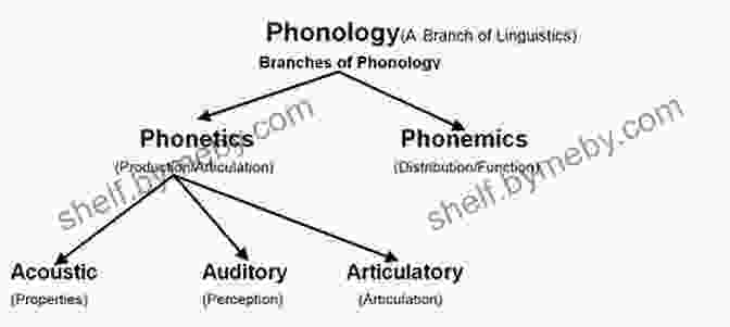 Diagram Representing The Phonological Structure Of The Word English Phonology: An (Cambridge Textbooks In Linguistics)