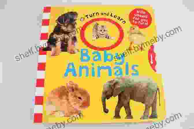 Educational And Interactive Animal Book Bear Rhymes The Little Bear Meets The Voice In The Cave: (Children S Cute Animal Book)