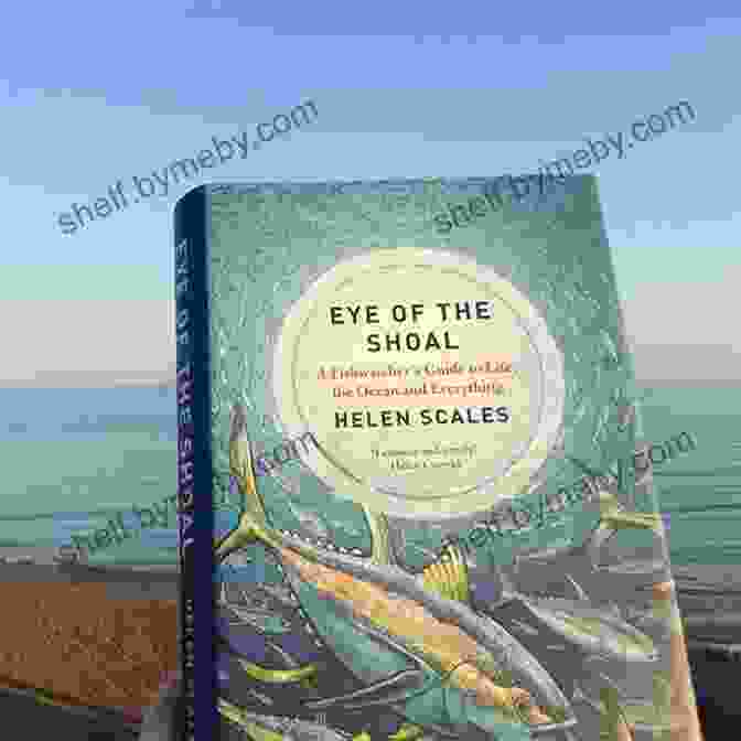 Eye Of The Shoal Book Cover Featuring A Vibrant Underwater Scene With A Shoal Of Fish Swimming Past A Coral Reef Eye Of The Shoal: A Fishwatcher S Guide To Life The Ocean And Everything