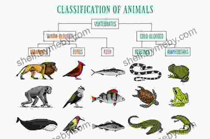 Illustrated Guide To Birds, Fish, Mammals, Reptiles, And Amphibians Cover Ohio Wildlife Encyclopedia: An Illustrated Guide To Birds Fish Mammals Reptiles And Amphibians