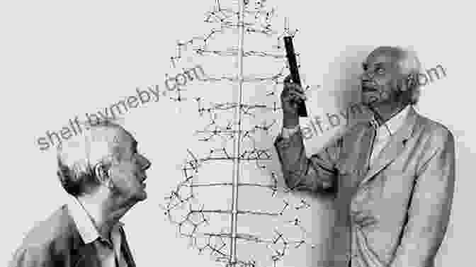 James Watson And Francis Crick, The American And British Scientists Who Discovered The DNA Double Helix The Secret Of Life: Rosalind Franklin James Watson Francis Crick And The Discovery Of DNA S Double Helix