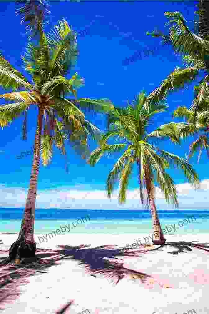 Mauritius Beach With White Sand, Turquoise Water, And Palm Trees Insight Guides Pocket Mauritius (Travel Guide EBook)