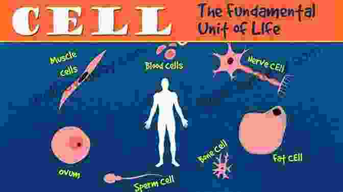 Microscopic Image Of Cells, The Fundamental Unit Of Life 5 Steps To A 5: AP Biology 2024