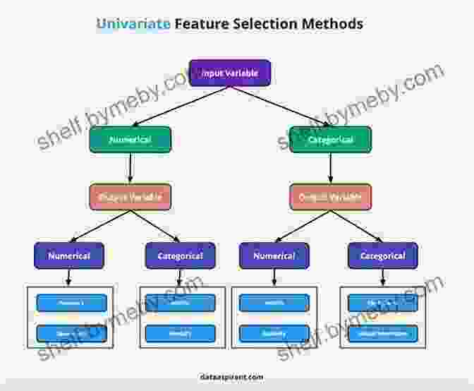 Spectral Feature Selection Algorithm Overview Spectral Feature Selection For Data Mining (Chapman Hall/CRC Data Mining And Knowledge Discovery Series)