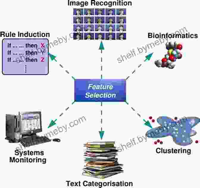 Spectral Feature Selection Applications In Different Domains Spectral Feature Selection For Data Mining (Chapman Hall/CRC Data Mining And Knowledge Discovery Series)