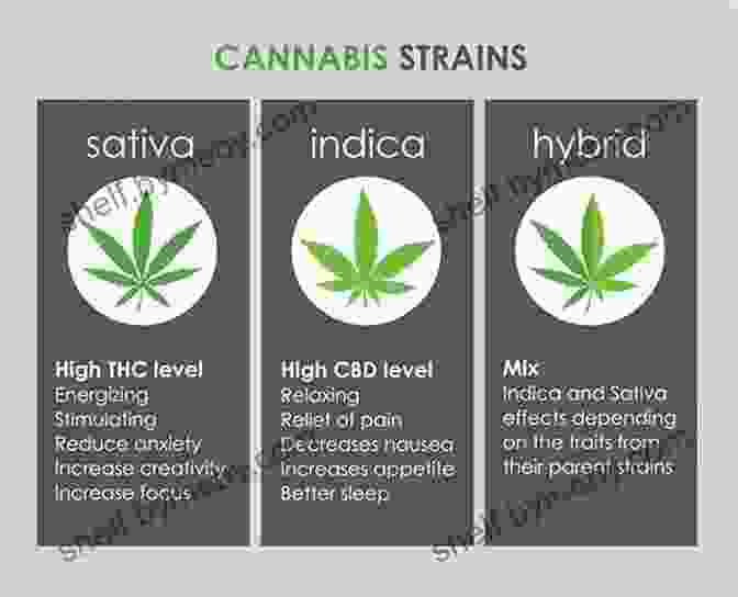 Strain Profile Chart With Information On Various Medicinal Strains Marijuana Horticulture: The Indoor/Outdoor Medical Grower S Bible