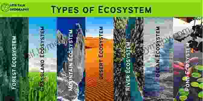 The Importance Of Ecosystem Orchestration HBR S 10 Must Reads On Platforms And Ecosystems (with Bonus Article By Why Some Platforms Thrive And Others Don T By Feng Zhu And Marco Iansiti)