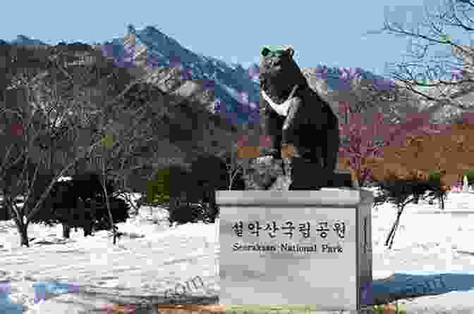 The Majestic Seoraksan National Park, Adorned With Snow Capped Mountains Korea: A Walk Through The Land Of Miracles