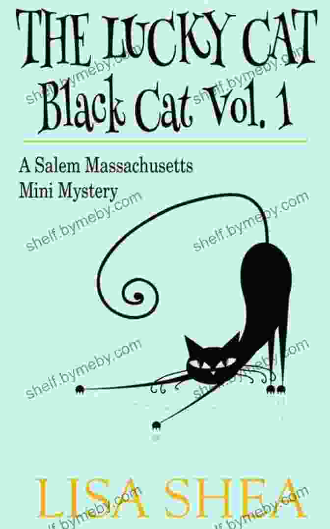 The Party Black Cat Vol 19 Salem Massachusetts Mini Mystery Book Cover The Party Black Cat Vol 19 A Salem Massachusetts Mini Mystery