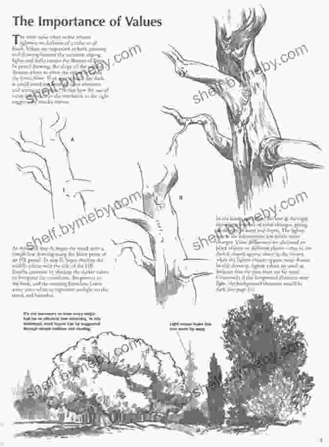 Trees With William Powell Book Cover Drawing: Trees With William F Powell: Learn To Paint Step By Step (How To Draw Paint 259)