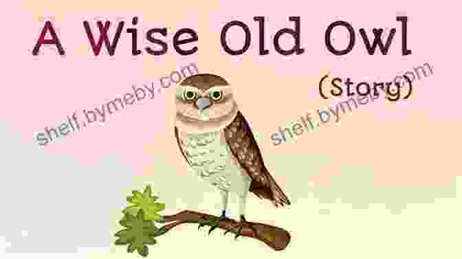 Wise Old Owl Sammy S Easter Rainbow: A Dog And Cat Help Save Easter (Sam And Rainbow Adventures 3)