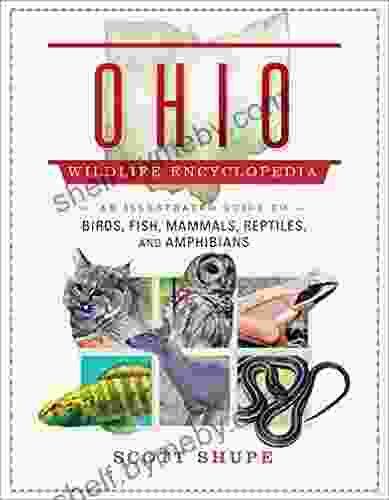 Ohio Wildlife Encyclopedia: An Illustrated Guide to Birds Fish Mammals Reptiles and Amphibians