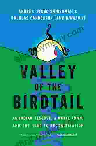 Valley Of The Birdtail: An Indian Reserve A White Town And The Road To Reconciliation