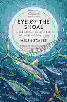 Eye Of The Shoal: A Fishwatcher S Guide To Life The Ocean And Everything