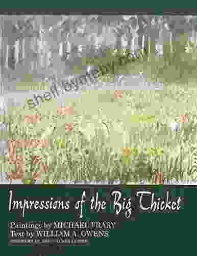 Impressions Of The Big Thicket (Blaffer Of Southwestern Art)