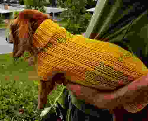 Lena S Twisty Columns Miniature Dachshund Knitting Pattern