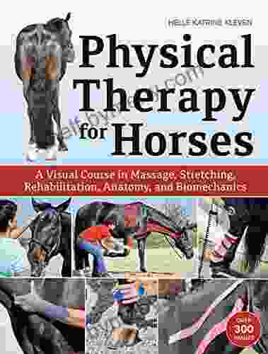 Physical Therapy for Horses: A Visual Course in Massage Stretching Rehabilitation Anatomy and Biomechanics