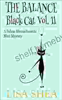 The Balance Black Cat Vol 11 A Salem Massachusetts Mini Mystery