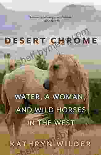 Desert Chrome: Water A Woman And Wild Horses In The West